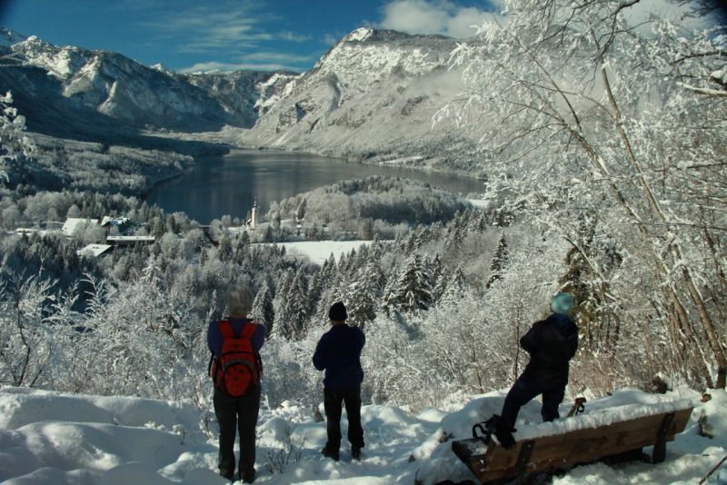 Winter Blick Zum See