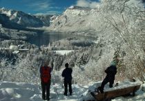 Winter Blick Zum See