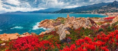 Tirol - Korsika 9 Tage Busrundfahrt